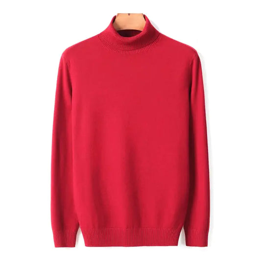 Men Turtleneck Sweater